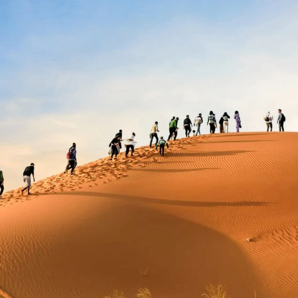 gorup RSD (3)_resized